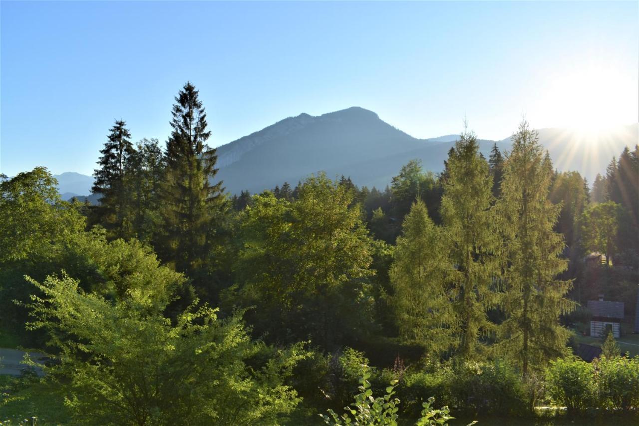 Apartment D'Auszeit Bad Goisern Bagian luar foto
